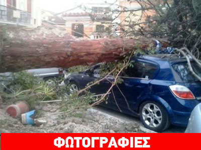 Αιωνόβιο δέντρο καταπλάκωσε αυτοκίνητο στην παλιά πόλη του Ναυπλίου