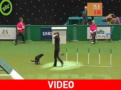 Η φύση δεν μπορεί να περιμένει…