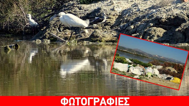 Στο έλεος ασυνείδητων ο υγροβιότοπος Νάξου