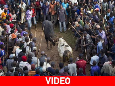 «Προεδρική» ταυρομαχία στην Κένυα «Προεδρική» ταυρομαχία στην Κένυα