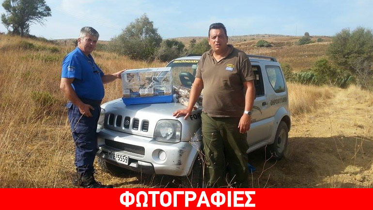 Παράνομη σύλληψη ωδικών πτηνών με παγίδες στη Λήμνο