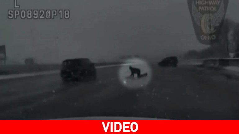 Σοκαριστικό τροχαίο: Οδηγός οχήματος… εκτινάσσεται μέσα από Ι.Χ.