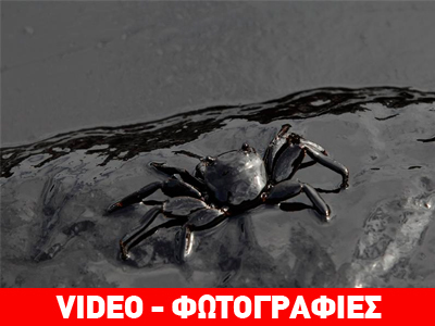 Ταϊλάνδη: Πετρελαιοκηλίδα κατέστρεψε επίγειο παράδεισο