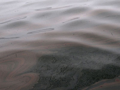 Θαλάσσια ρύπανση στην Ελευσίνα