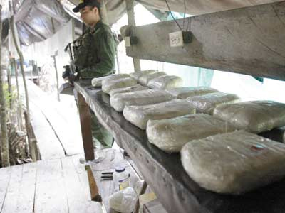 Βρέθηκε εργαστήριο κοκαϊνης μέσα σε φυτείες