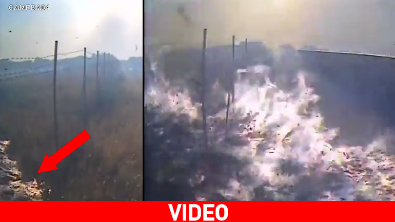 Καρέ καρέ το καταστροφικό έργο της φωτιάς στη Λακωνία Καρέ καρέ το καταστροφικό έργο της φωτιάς στη Λακωνία