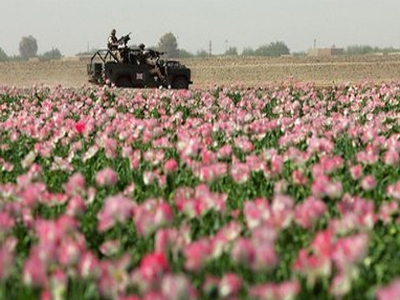 «Αποτύχαμε στην καταπολέμηση των ναρκωτικών»