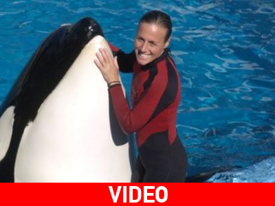 Επέστρεψε η «φάλαινα-δολοφόνος» Επέστρεψε η «φάλαινα-δολοφόνος»