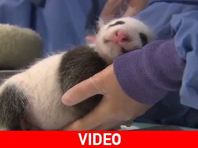 Ώρα για… «check up»