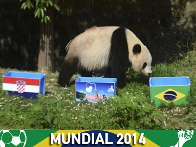 Κίνα: «Stop» στις προβλέψεις των πάντα