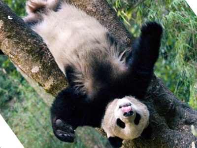 Όταν η φύση έχει… κέφια!