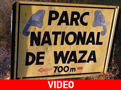 Αγνοείται η τύχη επτά Γάλλων στο Καμερούν Αγνοείται η τύχη επτά Γάλλων στο Καμερούν