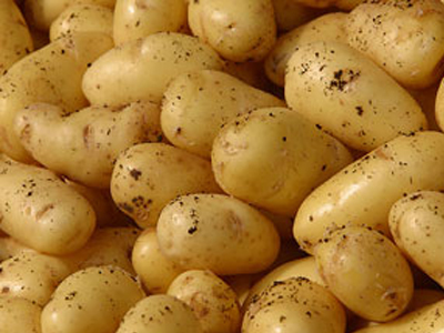 Στη «μάχη» της φθηνής πατάτας και ο Βόλος