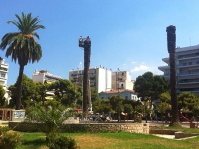 Πάτρα: Άμεσος ο κίνδυνος ατυχημάτων λόγω… κόκκινου σκαθαριού