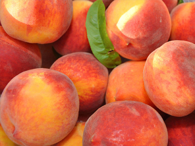 Ερώτηση 11 ανεξάρτητων βουλευτών για τη… λυπητερή του ρωσικού εμπάργκο