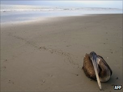 «Μείνετε μακριά από τις ακτές»