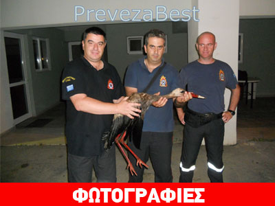 Ένας απρόσμενος επισκέπτης στην ΠΥ Πρέβεζας