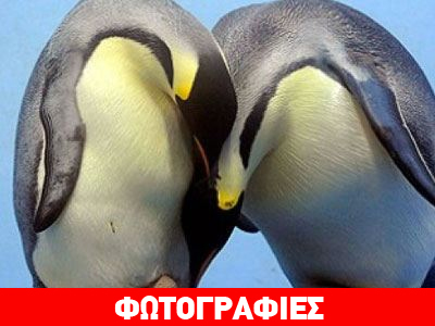 Οι πιο γλυκές αγκαλιές