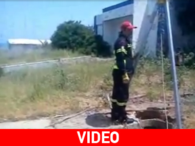 Αίσιο τέλος για σκυλάκι στην Κρήτη