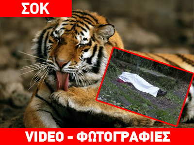 Γερμανία: Τίγρης κατασπάραξε φύλακα