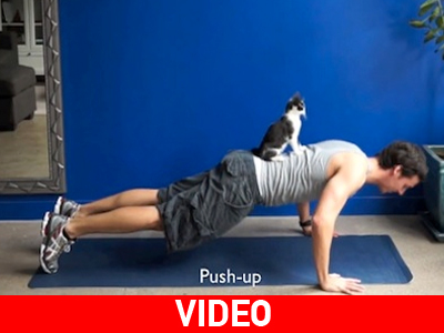 Γυμναστείτε παρέα με τη… γάτα σας!