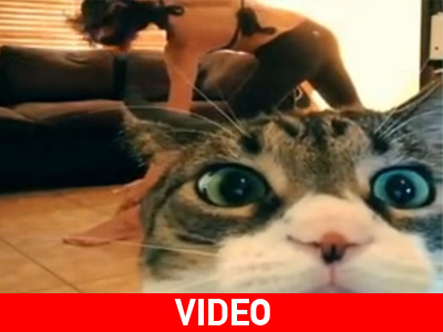 Όταν το κατοικίδιο συναντά τη… γιόγκα!