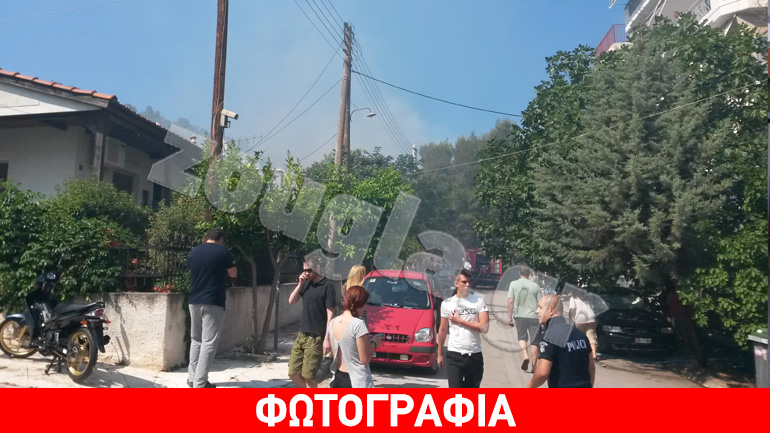 Υπό μερικό έλεγχο η φωτιά στο δάσος της Πετρούπολης