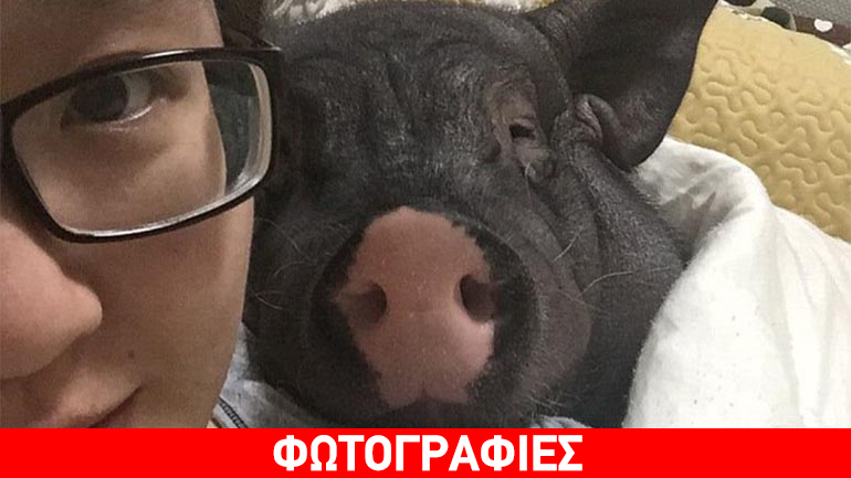 Κίνα: Μοιράζεται το κρεβάτι της μ’ ένα… γουρουνάκι!