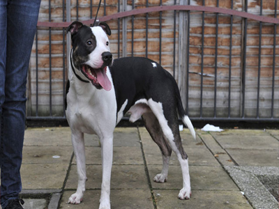 Συνελήφθη για ανθρωποκτονία από αμέλεια