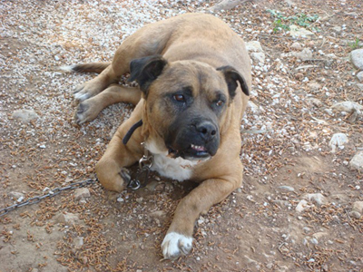 Χαρίζεται ο Ερμής