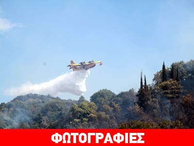 Ηλεία: Φωτογραφίες από την επιχείρηση κατάσβεσης στο χωριό Λουκά