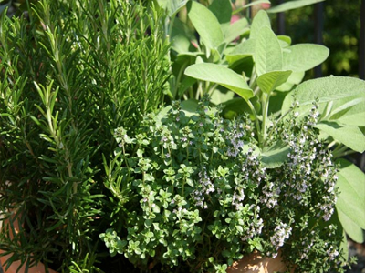 Θα… «πρασινίσει» το Ηράκλειο