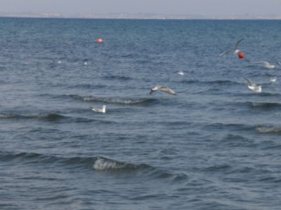 Πνίγηκε ηλικιωμένος στην Κέρκυρα