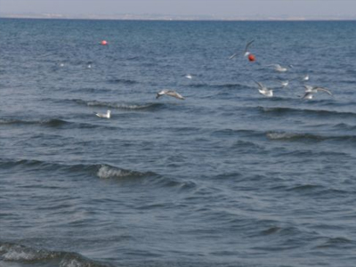 Τελευταίο μπάνιο για 68χρονη στη Χαλκίδα