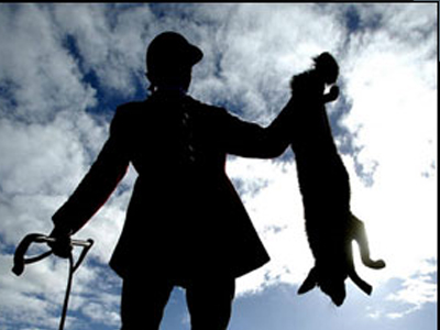 Στο έλεος των λαθροκυνηγών ο Αμβρακικός