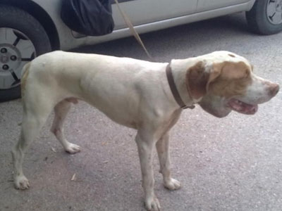 Ζητάει μια ζεστή αγκαλιά