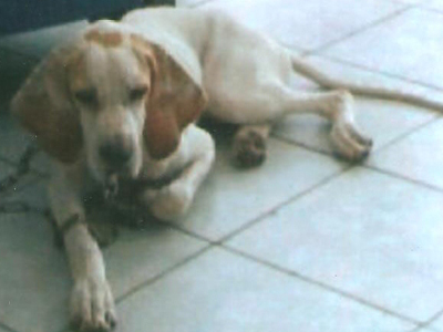 Χάθηκε ο Καίσαρας