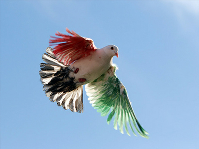 To Κουβέιτ ζητά τον εξοπλισμό των Σύρων αντικαθεστωτικών