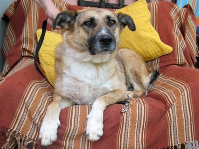 Χαρίζεται η Πωλίνα