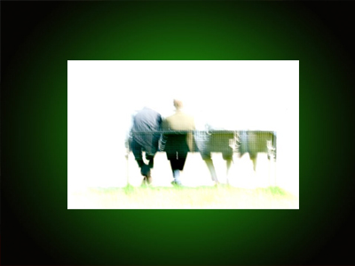 «Αείζωον Πυρ»