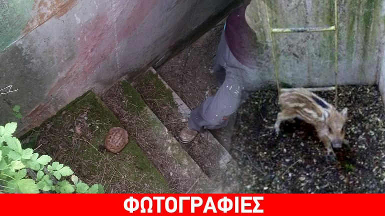 Παγίδες θανάτου τα εγκαταλελειμμένα πολυβολεία στα σύνορα