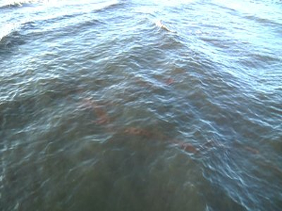 Θαλάσσια ρύπανση στον Βόλο Θαλάσσια ρύπανση στον Βόλο