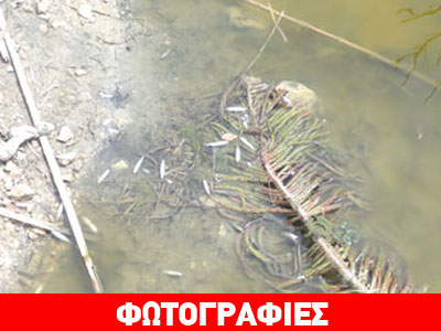 Ζάκυνθος: Εικόνες ντροπής στον Λαγανά