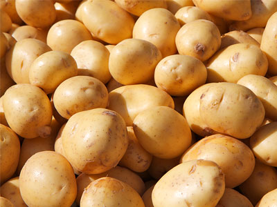 Πειραιάς: Κατασχέθηκαν 300 κιλά ακατάλληλης πατάτας