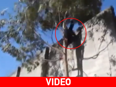 Βραζιλία: Prison break… on camera