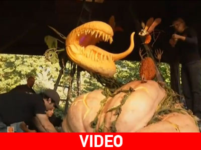 Η.Π.Α.: Φοβού τη μεγαλύτερη κολοκύθα του «Halloween»