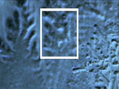 Ανακαλύφθηκαν χαμένες πυραμίδες…μέσω διαστήματος