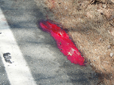 Ξεψύχησε στην άσφαλτο