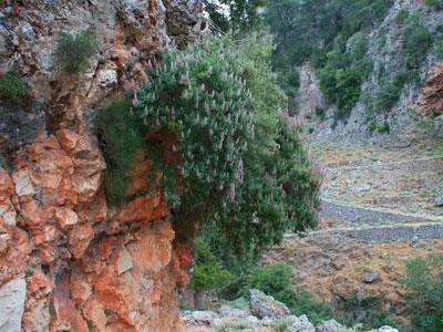 Ελπίδες για τον εντοπισμό των αγνοούμενων τουριστών