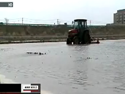 Επιχείρηση απομάκρυνσης του αλατιού στην Ιαπωνία